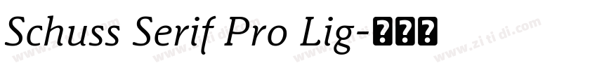 Schuss Serif Pro Lig字体转换